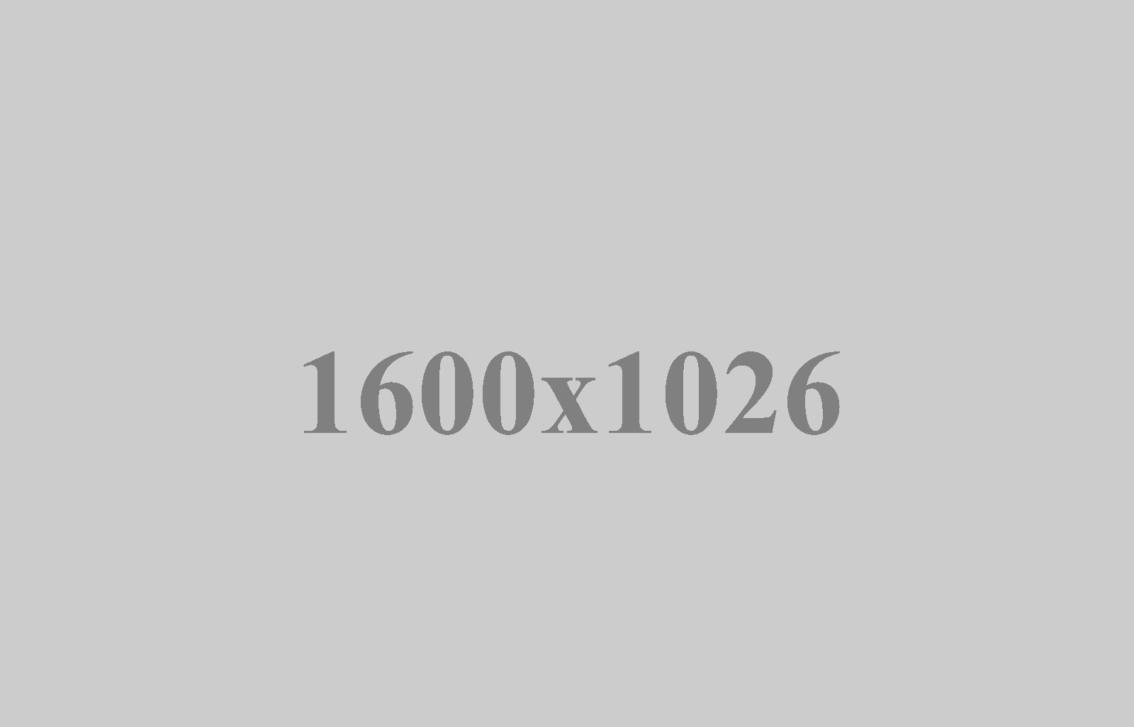 Gallery 13
